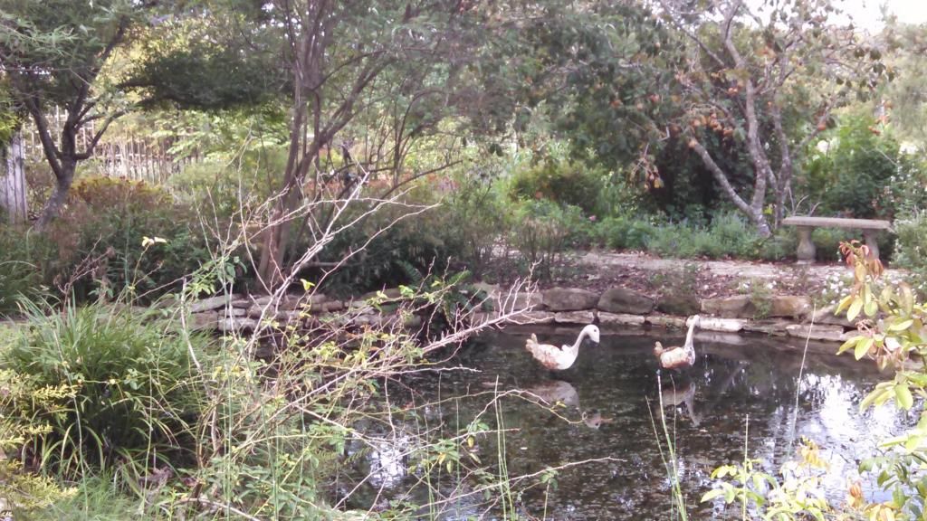  photo IMG_20140924_101958_015.jpg